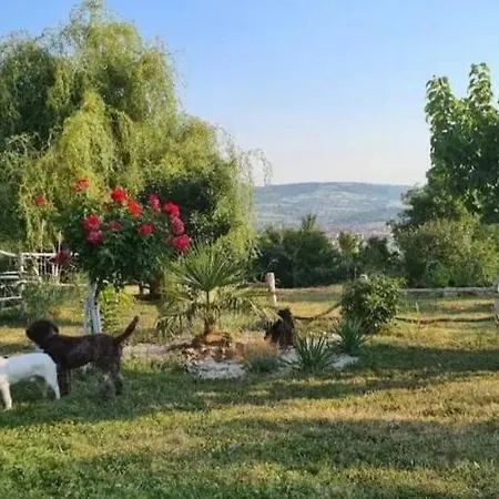 Chalet Etno Kompleks Orahovac - Vajat Slavuj