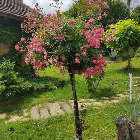 Chalet Etno Kompleks Orahovac - Vajat Slavuj *