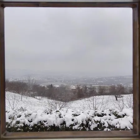 Chalet Etno Kompleks Orahovac - Vajat Slavuj Arandjelovac