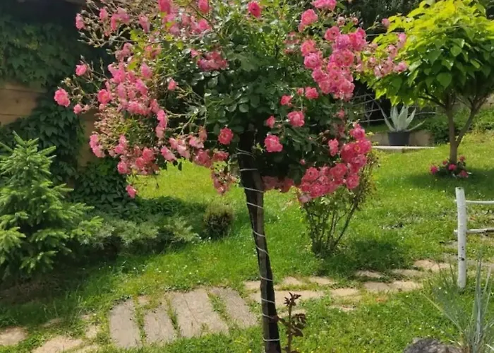 Chalet Etno Kompleks Orahovac - Vajat Slavuj *